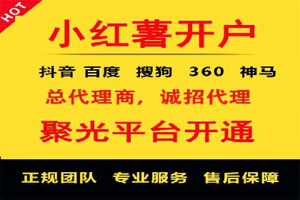 SEO百度推广策略：成功案例解析